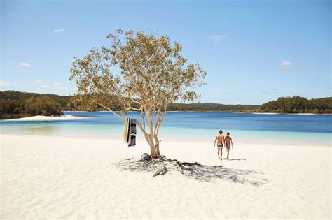 Queensland by Land: Lush forests, open beaches and fascinating culture – Lonely Planet