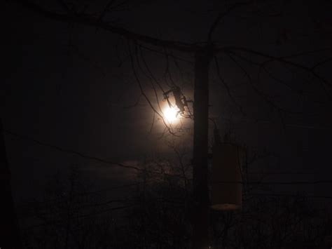 Yours for Good Fermentables ™: Pic(k) of the Week: Snow Moon eclipse