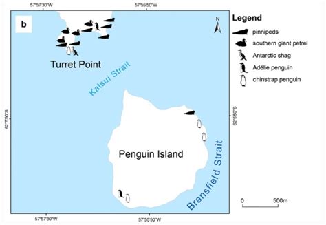 King George Bay, Antarctica Glacier Retreat Expands Turret Point Oasis and Releases New Island ...