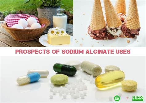 The Current Situation and Prospects of Sodium Alginate Uses