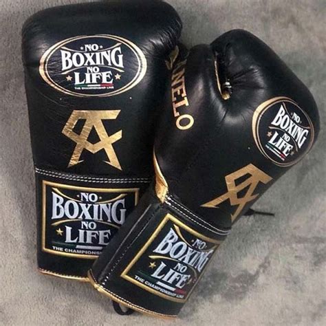 Boxing News: The Gloves Canelo was going to use » September 28, 2018