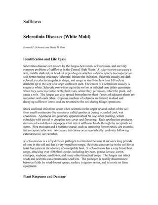 Sclerotinia diseaseswhitemold safflower | PDF