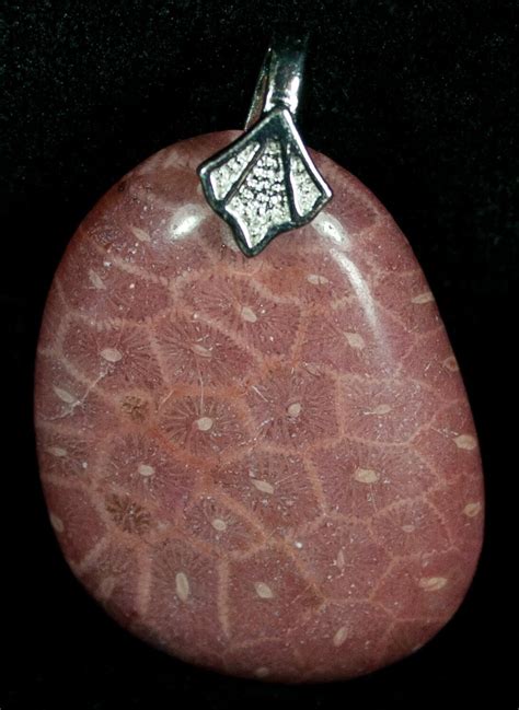 Red Fossil Coral Pendant - 20 Million Years Old For Sale (#5999 ...