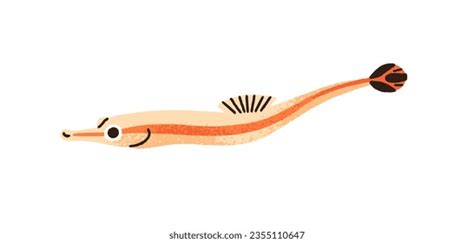 12 Quillfish Images, Stock Photos, 3D objects, & Vectors | Shutterstock