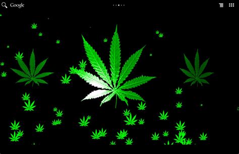 3D Wallpaper Weed Leaf Wallpapers Hd | Important Wallpapers