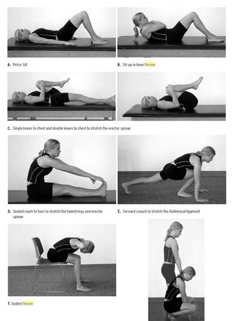 Williams flexion exercises focus on placing the lumbar spine in a flexed position to reduce ...