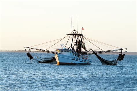 Fishing Boat Net | ubicaciondepersonas.cdmx.gob.mx