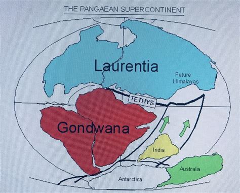 The Continents division | Geowissenschaften, Weltgeschichte, Naturkunde