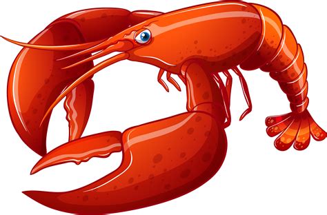 Lobster Clip Art Transparent File - PNG Play