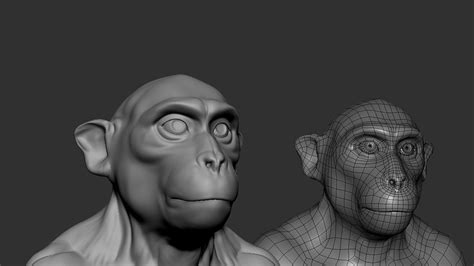 Monkey 3D Model - TurboSquid 2068368