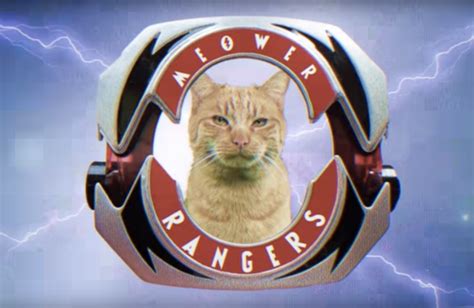 Mighty Morphin Meower Rangers Is Cat-Tastic Nostalgia | BeChewy