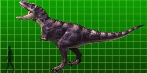 Daspletosaurus Pictures & Facts - The Dinosaur Database