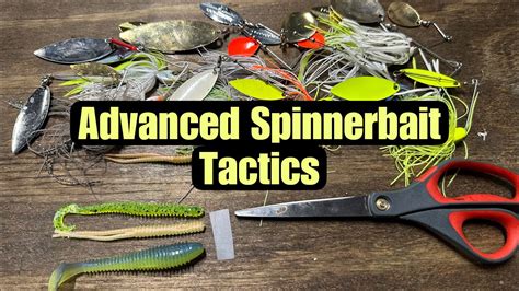 Advanced Spinnerbait Fishing Tactics And Techniques - YouTube