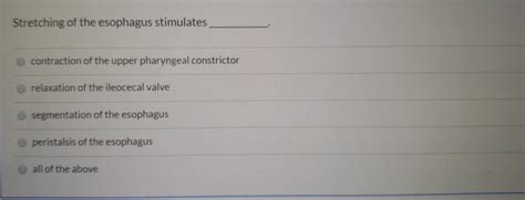 Solved Stretching of the esophagus stimulates contraction of | Chegg.com