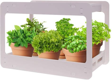 Best Indoor Herb Garden Kit for your Favorite Herbs - Viral Gads