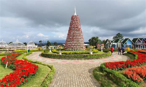 Celosia Garden, Mengintip Keindahan Taman dengan Beragam Bunga Celosia ...