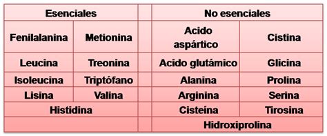 Suplementos de proteina, ¿Debo descansar de tomarlos?