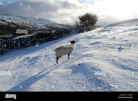 Weather - Winter Snowfall - Reeth, North Yorkshire Stock Photo - Alamy