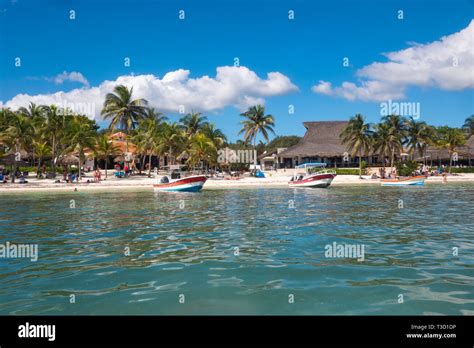 Akumal beach in Riviera Maya of Mayan Mexico Stock Photo - Alamy