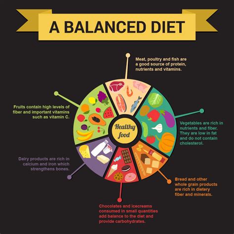 The Key to Proper Nutrition: A Balanced Diet - Infographic