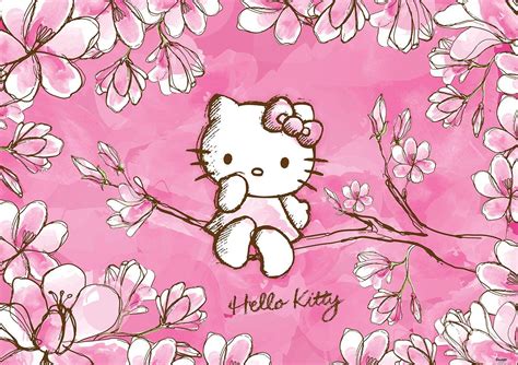 Hello Kitty Spring Wallpapers - Top Free Hello Kitty Spring Backgrounds ...