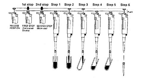 Micropipette | Introduction | Types And Usage Guide