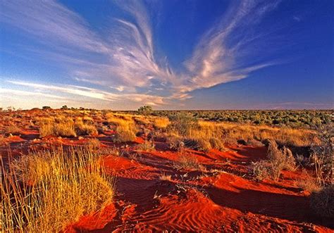 Queensland National Parks - Munga-Thirri (Simpson Desert) National Park ...