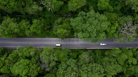 Aerial View Road Going through Forest, Road through the Green Forest ...