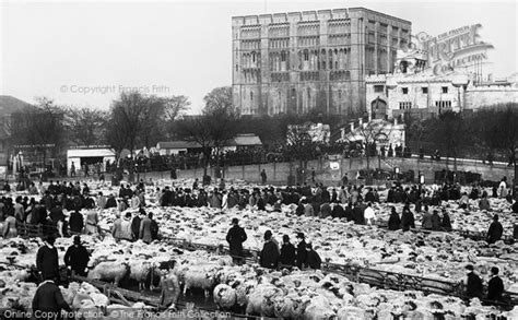 Photo of Norwich, The Cattle Market And Castle 1891