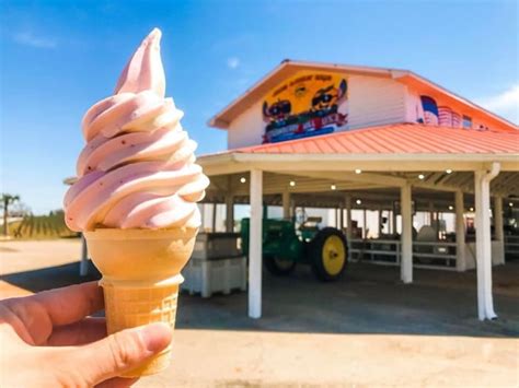 Best Ice Cream Shops Near Me: 21 Places in the U.S. - Parade