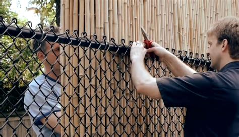 Ways to Cover an Ugly Chainlink Fence