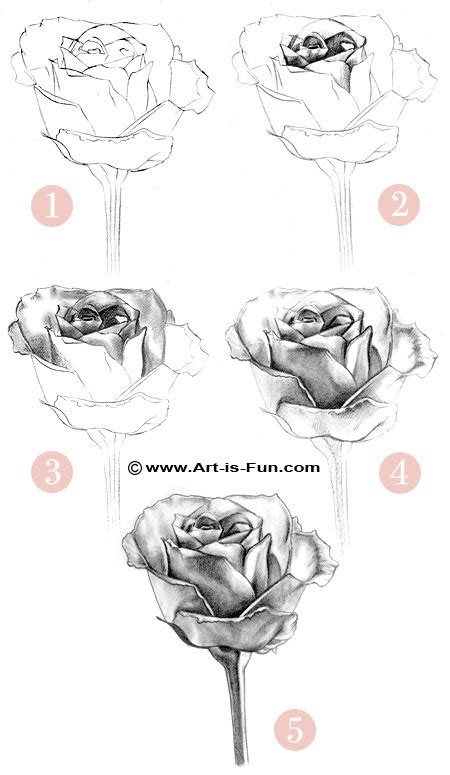 How to Draw a Rose: Learn to Draw Rose Pencil Drawings — Art is Fun