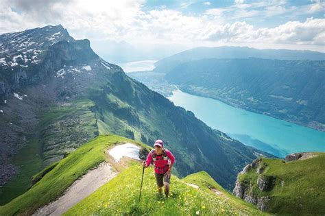 Swiss Alps — cool, refreshing and breathtaking | Human Interests, Social News, Recipes | tctimes.com