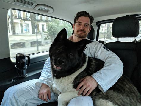 Henry Cavill with his absolute chonk of a dog. : r/Ladybonersgonecuddly