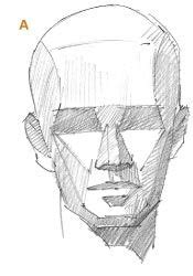 Here is an Artist's Guide to Drawing the Human Head