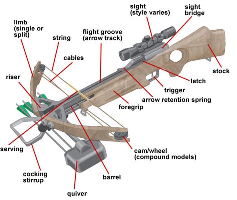 Best Crossbow For The Money 2022 - Rankings & 155 in-field reviews