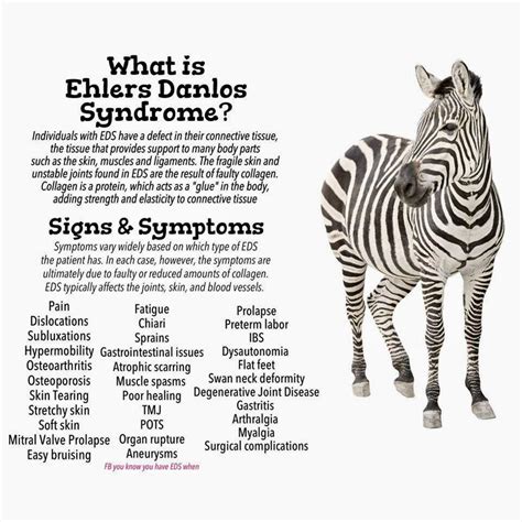 Ehlers-Danlos Syndrome (EDS) | Wiki | Service Dog Amino