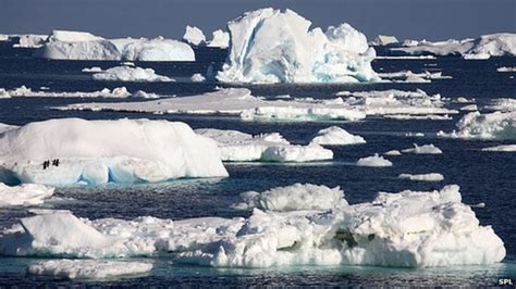 Melt may explain Antarctica's sea ice expansion - BBC News