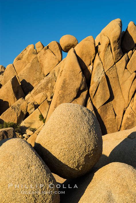 Jumbo Rocks at Sunset, Joshua Tree National Park, California, #29182