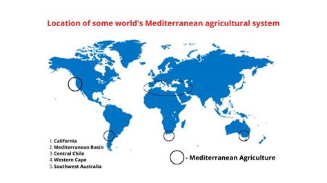 What is Mediterranean agriculture? - Science Query