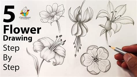 How To Draw Flowers With Pencil Step By | Best Flower Site