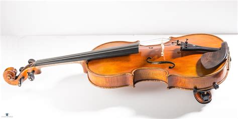 Dreamer's Eye: Soloist - the companion of a solo violinist