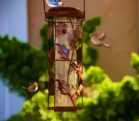 Bird Feeder Free Stock Photo - Public Domain Pictures