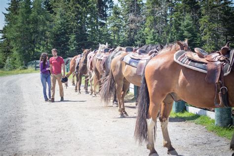 Photo Fridays – Hatfield Farm, Nova Scotia | Nova scotia, Horseback ...