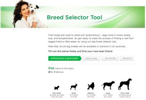 dog-breed-selector-tool | Dog Breed Identifier