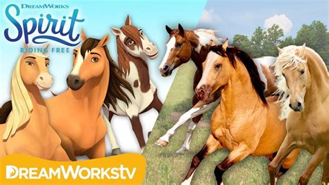 All About Horses | SPIRIT COMES TO LIFE Remember when Governor was born? On this episode of ...