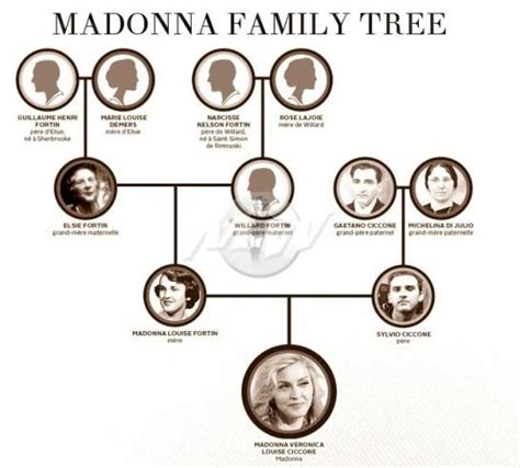 Arbol genealógico de Madonna | Madonna, Arbol genealogico, Arboles