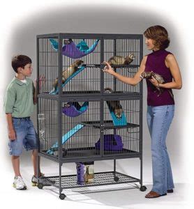 Best Big & Extra Large Ferret Cages For Sale In 2020 Reviews