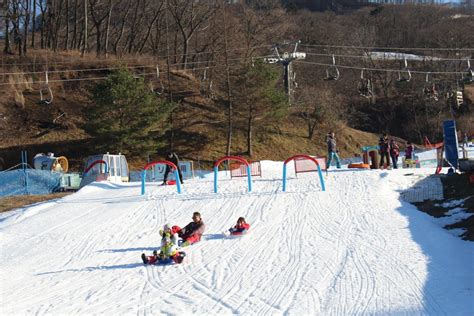 Nikmati Indahnya Alam Sekaligus Bermain Ski di Karuizawa Ski Resort | Liburan ke Jepang