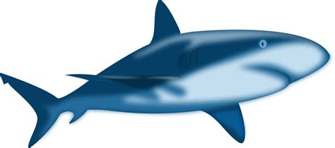 Blue Shark Clip Art Image - ClipSafari